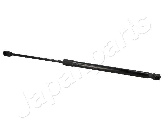 ZS01093
