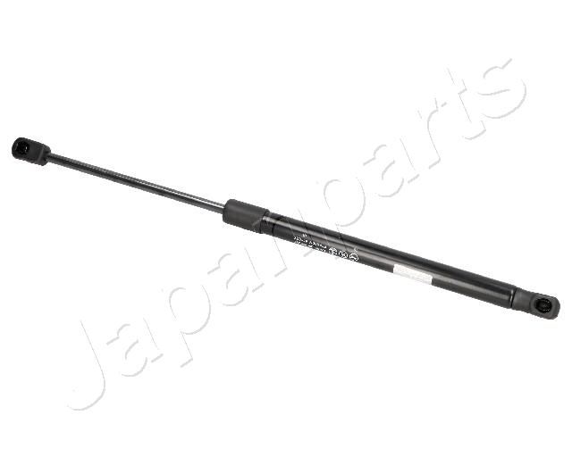ZSW0017