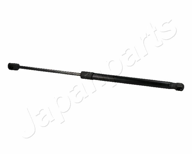 ZS06059