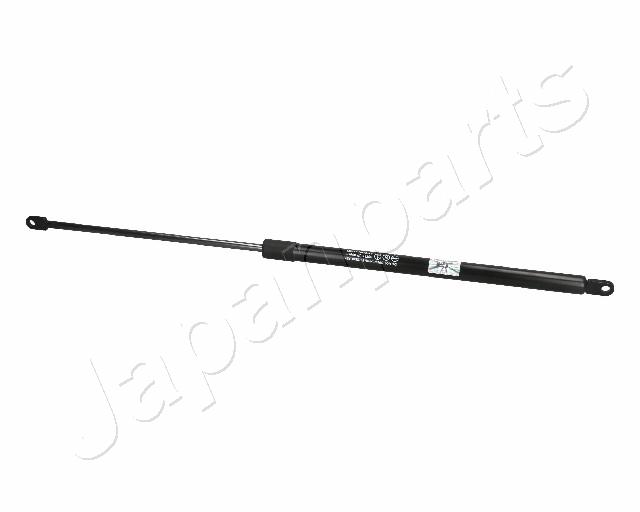 ZS06046