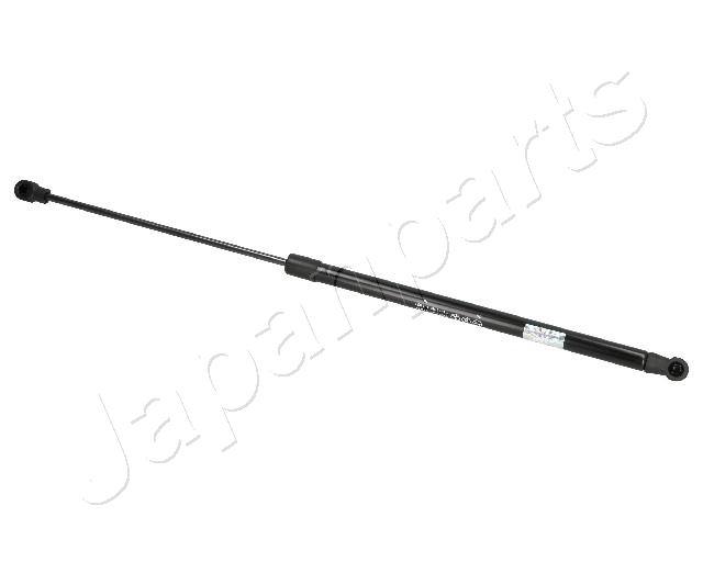 ZS07021