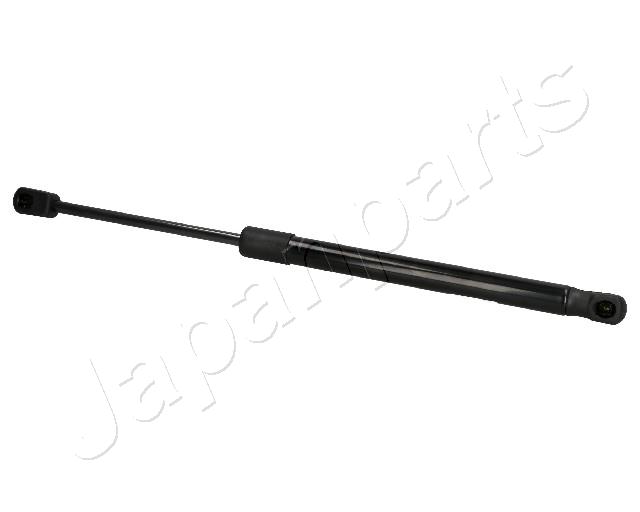 ZS01091