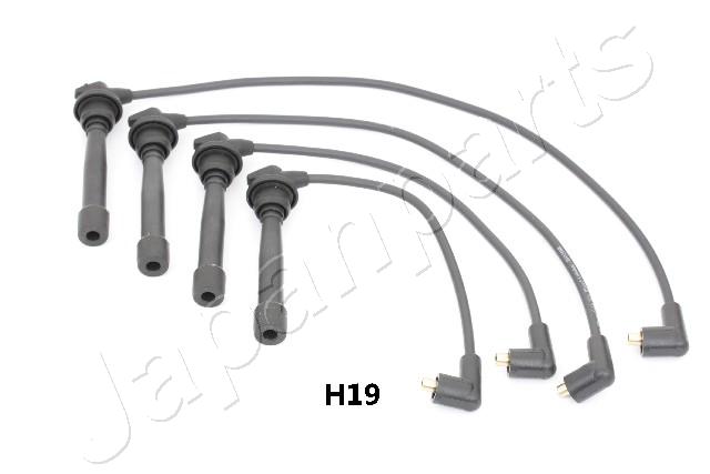IC-H19