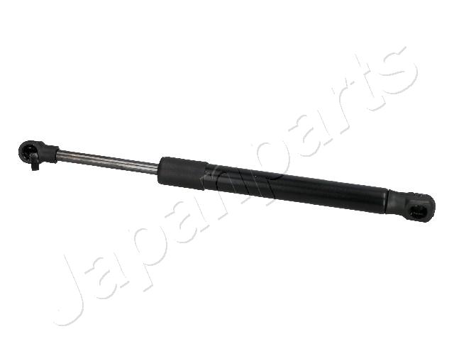 ZS10056
