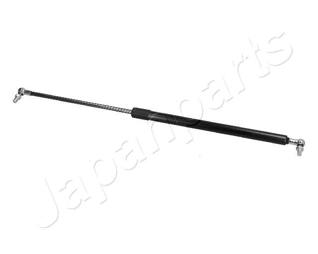 ZS10046