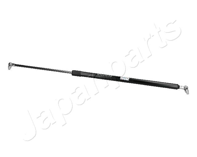 ZS10043
