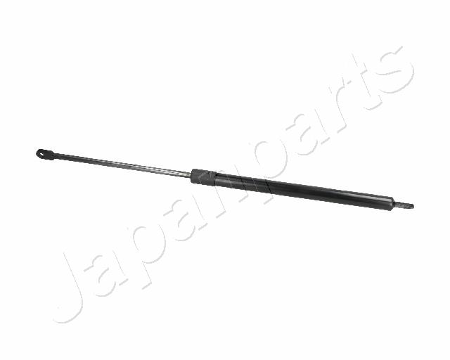 ZS01010