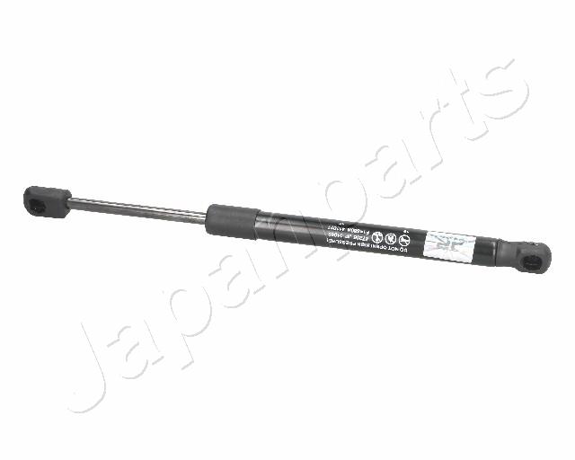 ZS01069