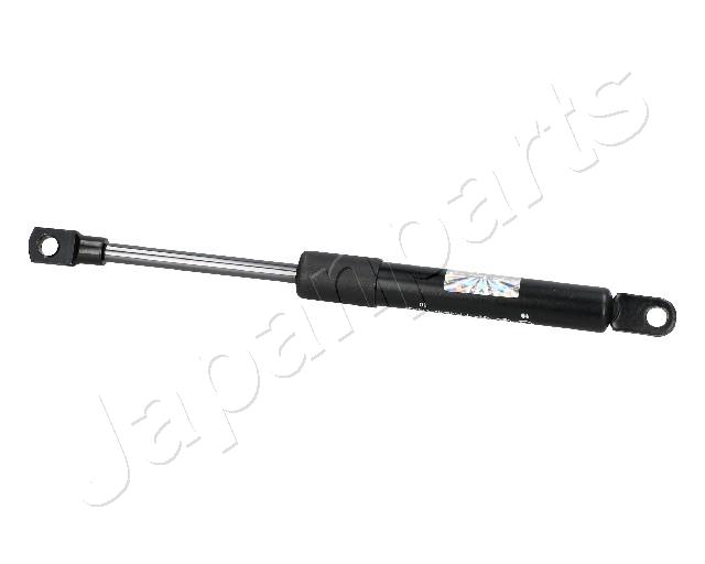 ZS09100