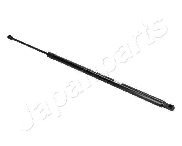 ZS03012