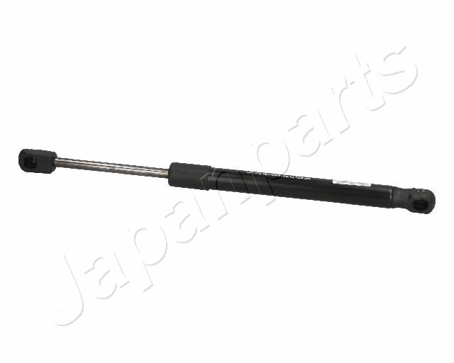 ZS06069