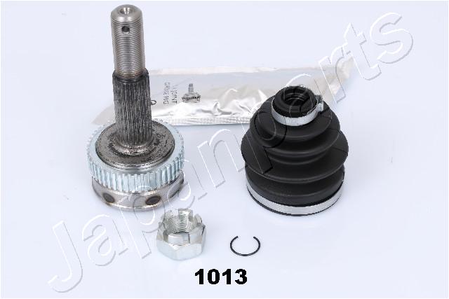 GI-1013