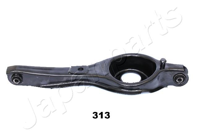 CJ-313
