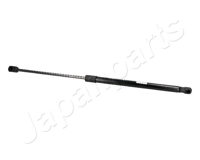 ZS09193