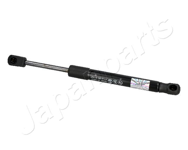 ZS10001