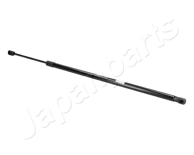 ZS09208