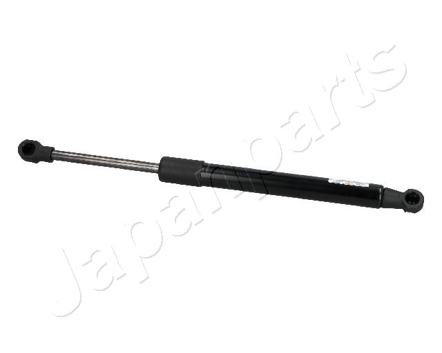 ZS03089