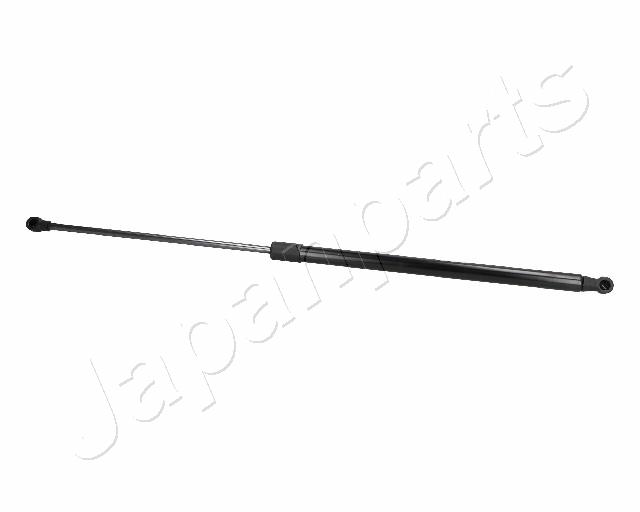 ZS06085