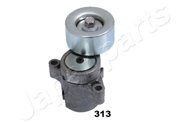 TS-313