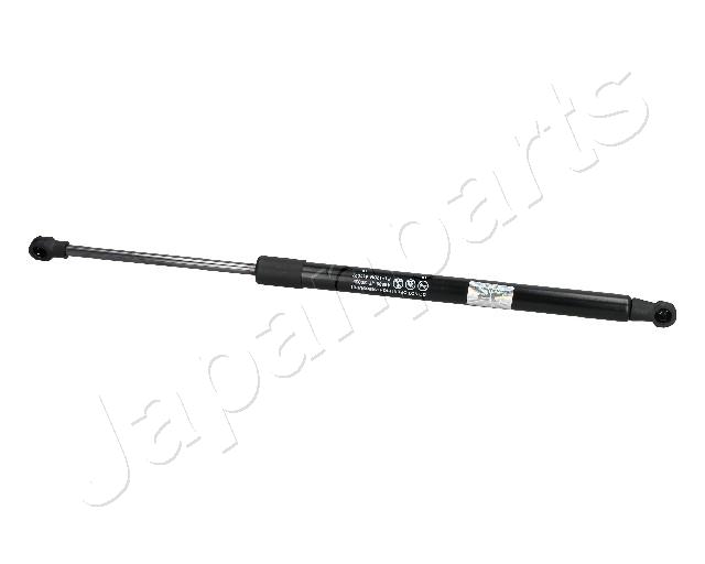 ZS20029