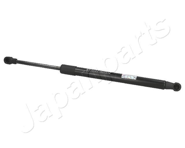 ZS01006