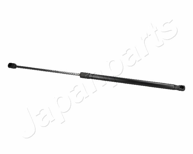 ZS06097