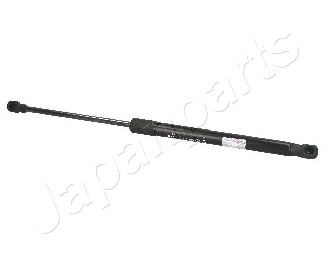 ZS01034