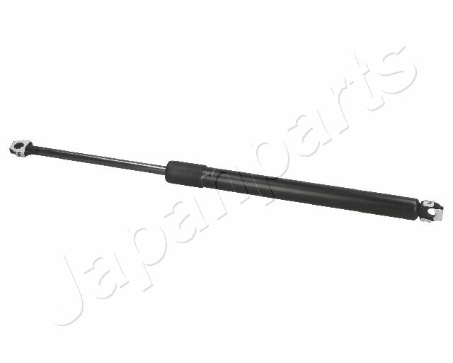 ZS01017