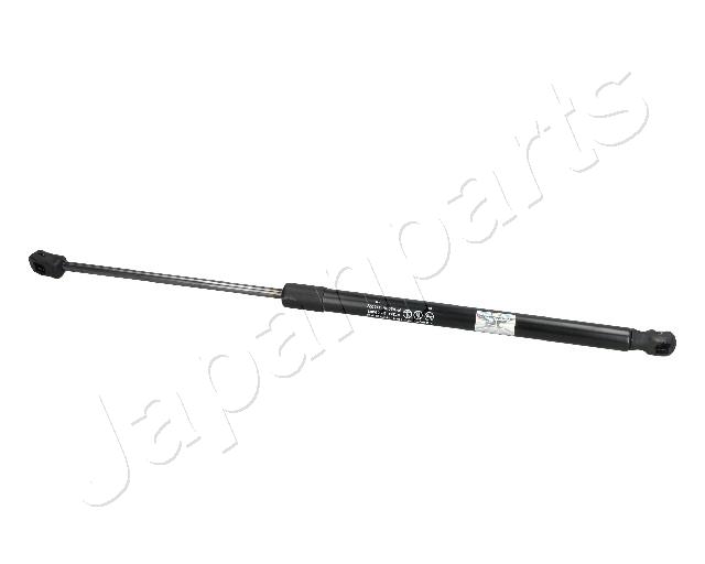 ZS09065