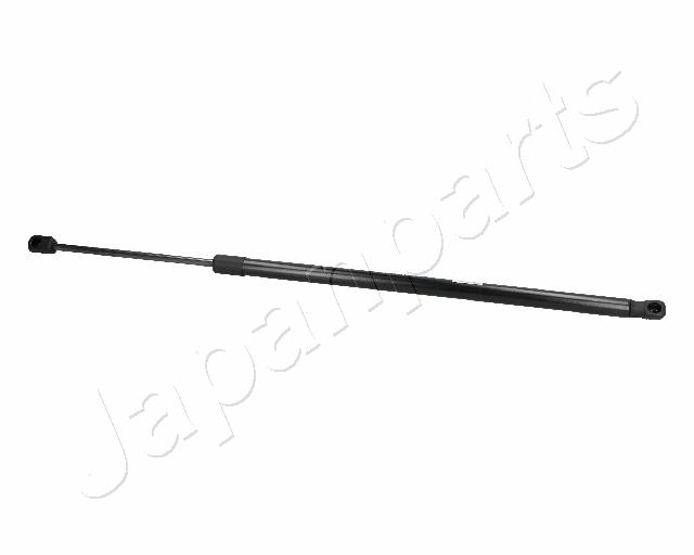 ZS06074