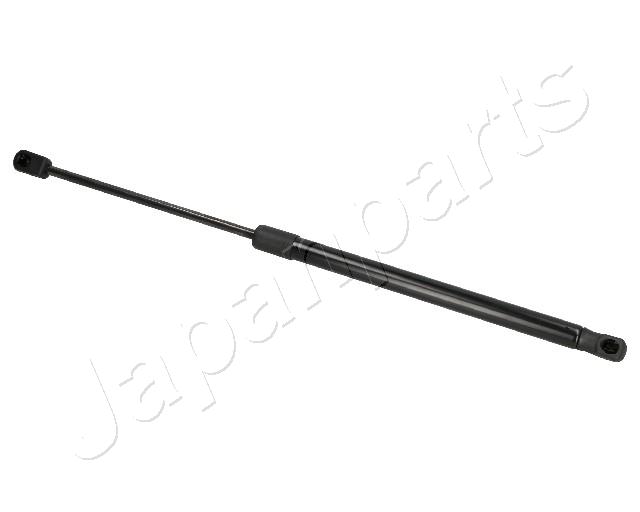 ZS09006