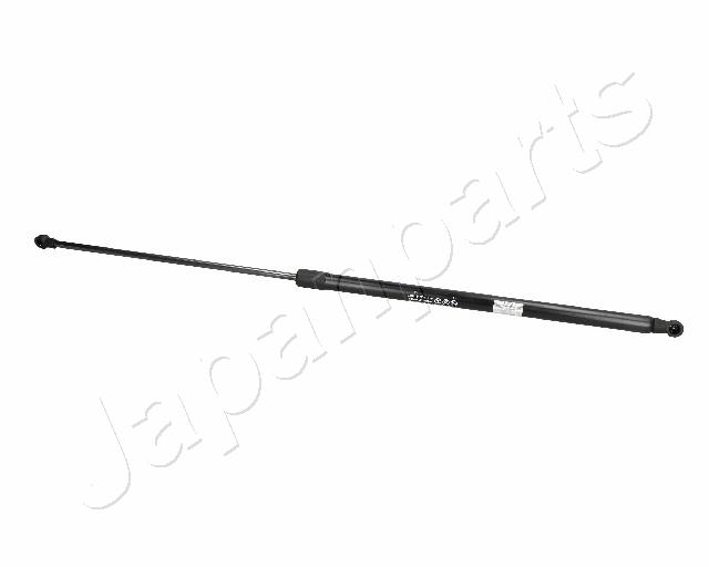ZS01024