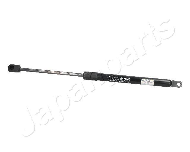 ZS09105