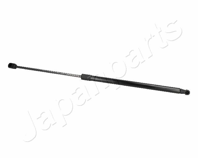ZS06013