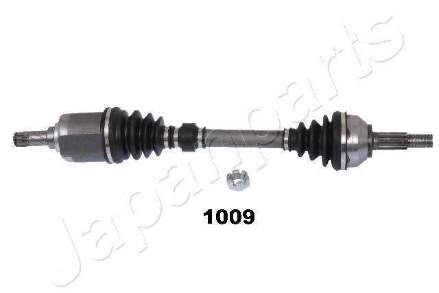 GI-1009
