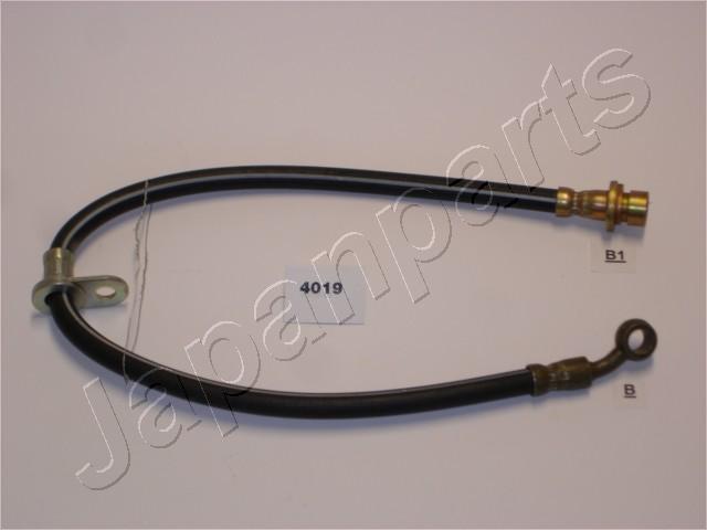 TF-4019