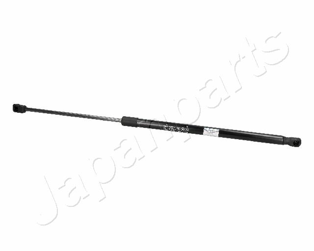 ZS06100