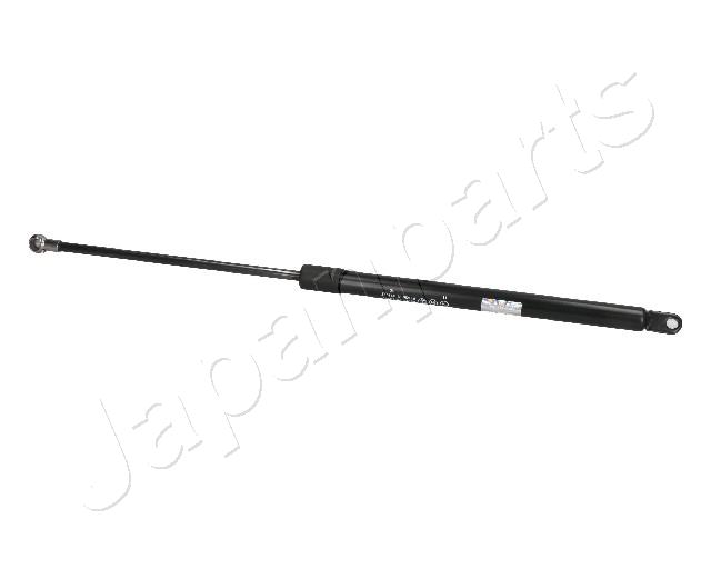 ZS09201