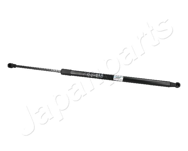 ZS09109