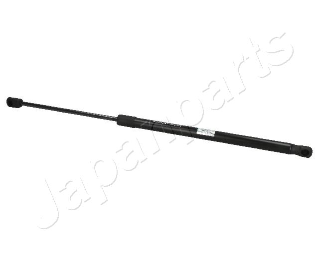 ZS06009