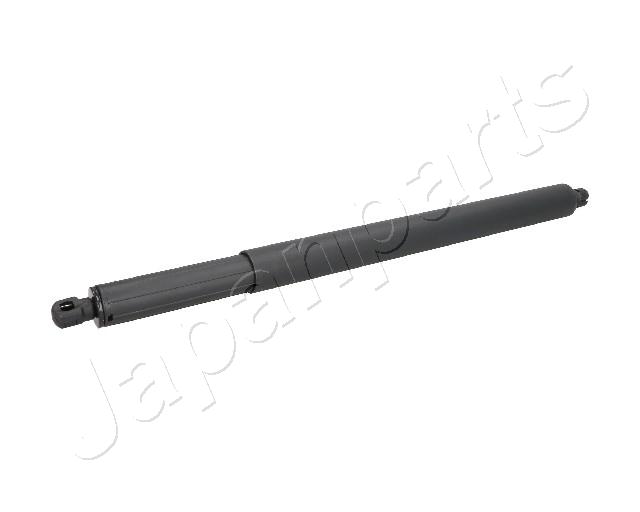 ZS01100