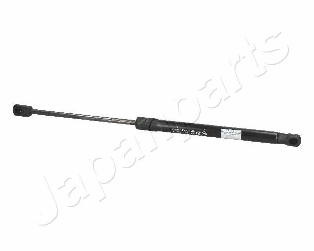 ZS09171