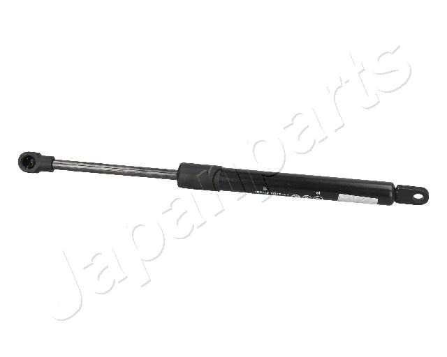 ZS09091