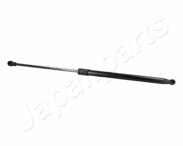 ZS06060