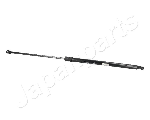 ZS09074