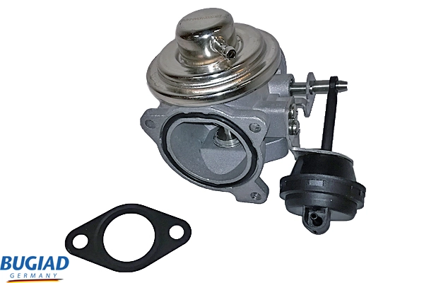BGR13020