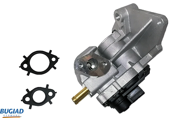 BGR13012