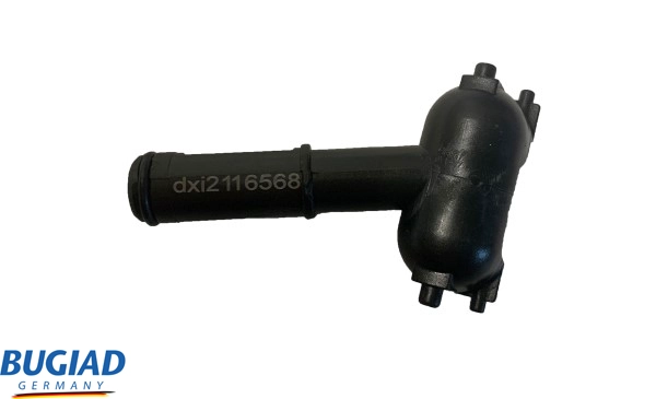 BHW16568