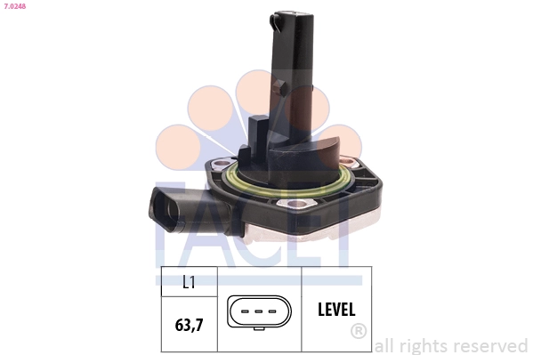 7.0248
