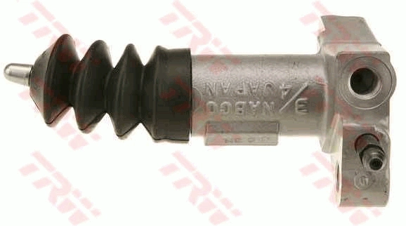PJD259